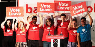 Vote Leave Campaigners