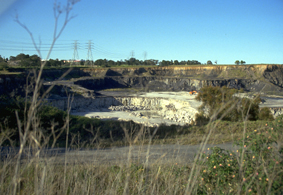 Homebush Bay brick pit