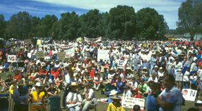 Protest against a HTI at Corowa