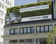 Billboard with living plants