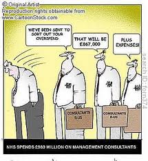 consultant cartoon