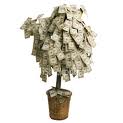 money tree