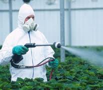 pesticide spraying