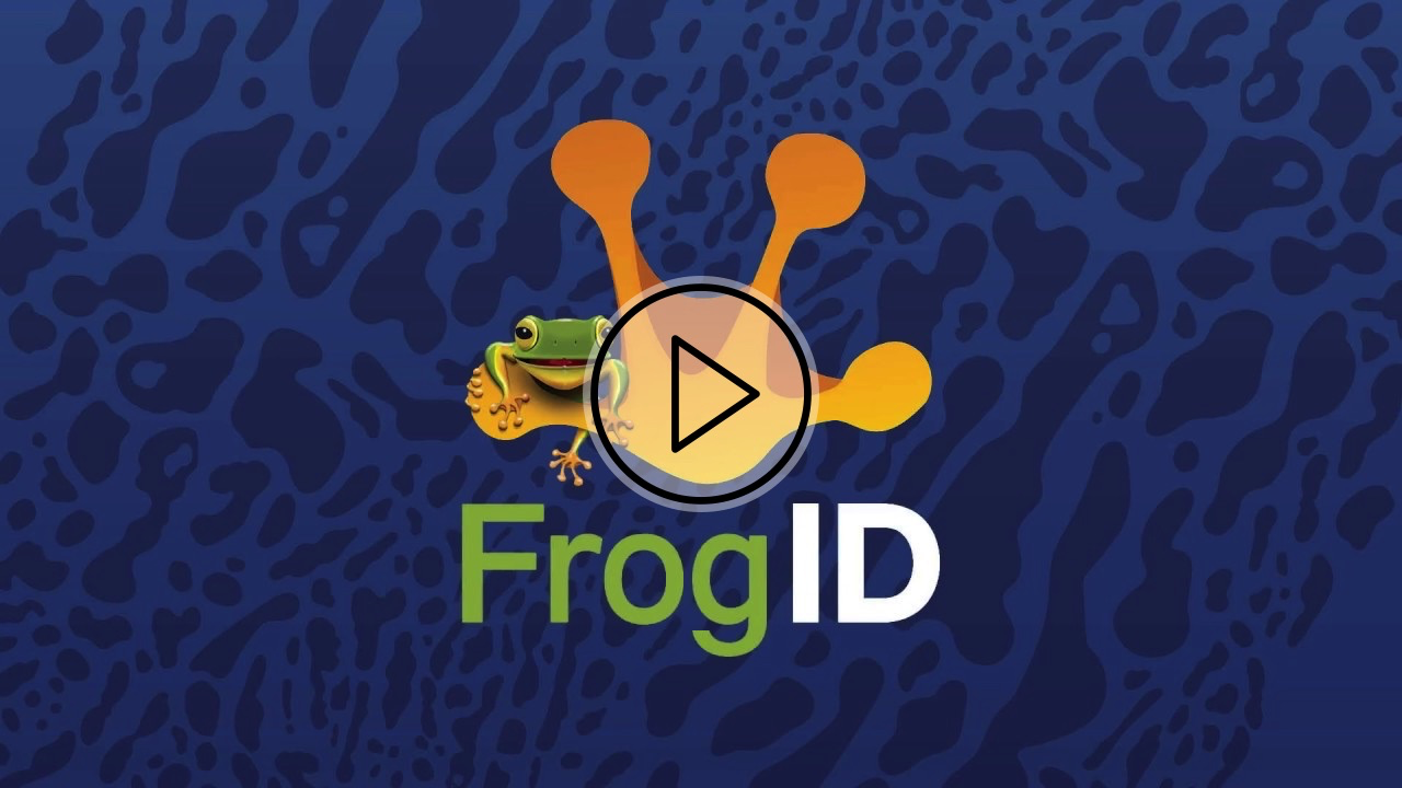 How to use the Frog ID mobile app