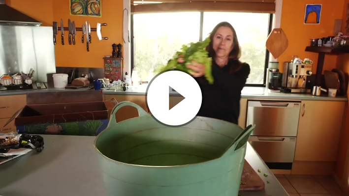 Woolworths & WIRES Partnership 2022