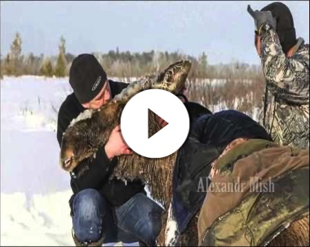 Люди приходят на помощь - 2. People come to the rescue - 2. 2 - Die Leute kommen zu Hilfe.