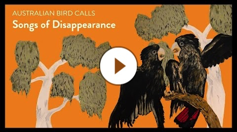 Songs of Disappearance | Australian Bird Calls