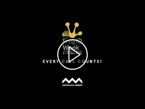 Can you solve the mystery?