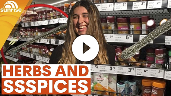 Snake spotted in spice aisle at Aussie supermarket, wrangled by shopper | Sunrise