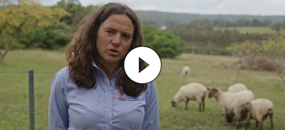 Wildlife Friendly Fencing in the South East
