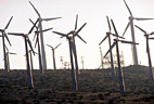 windmills