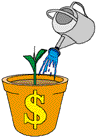 money plant