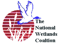 Coalition logo