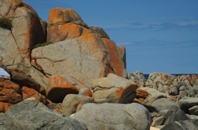 Grey Rocks