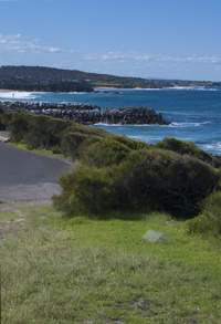 Narooma baiting