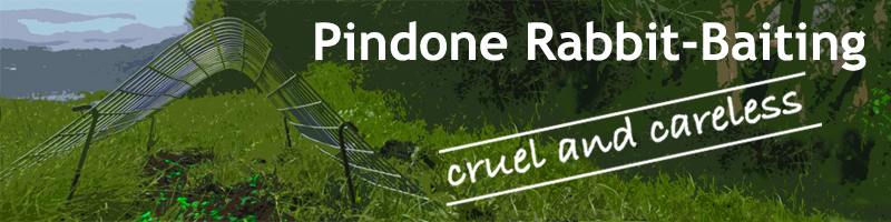 Pindone Rabbit-Baiting header