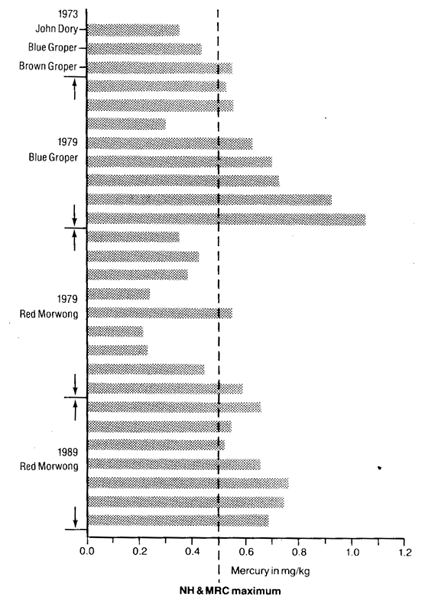 Mercury in North Head fish