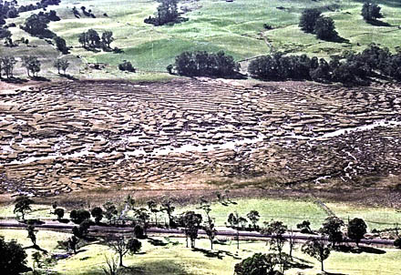 photo of collapsed swamp