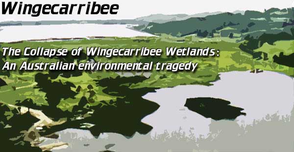 Title Page - The Collapse of Wingecarribee Wetlands