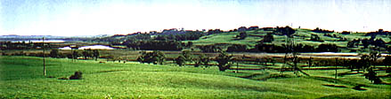 Wingecarribee Swamp