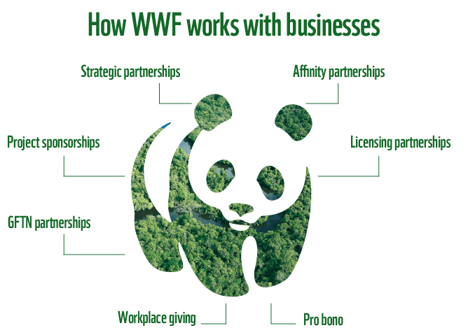 The world wildlife fund is. WWF. WWF России. Всемирный фонд охраны природы. История WWF.