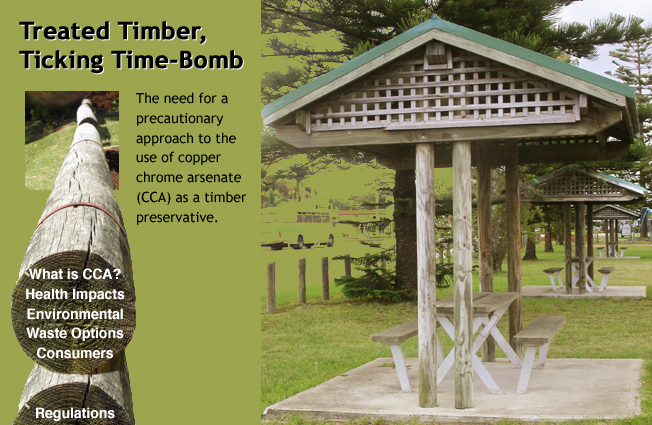 Title Page - Treated Timber, Ticking Time-Bomb